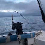 Aidan Nelson - @corkedbc - Instagram