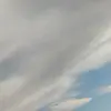 aidannewmann - @aidannewmann - TikTok