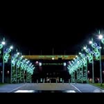 Aidan nicholson - @aidan_nicholson1888 - Instagram
