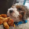 Aidan Noe - @aidan.noe - TikTok