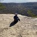 Aidan Nolan - Facebook
