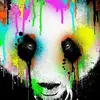 Aidan Nolan - @aidan132005 - TikTok