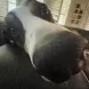 aidan - @aidan.oconnorr - TikTok