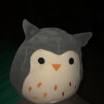 Aidan Pacella - @aidan_pacella - Instagram