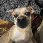 Aidan Page - Facebook
