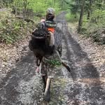 Aidan Page - @aidanpage87 - Instagram