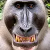 Aidan Patrick - @aidan.patrick2 - TikTok