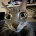 Aidan Patton - Facebook