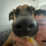Aidan Patton - @aidanpatton5 - Instagram