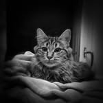 Aidan Payne - @aidan3920 - Instagram