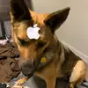 Aidan Payne - @aidan.payne5 - TikTok
