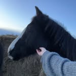 aidan - @aidan_pedersen - Instagram