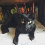 Aidan Pelkey - @maddycatrocks7 - Instagram