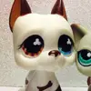 aidan - @draidanpepper - TikTok