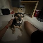 Aiden Pham - Facebook