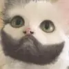 Aidan Pierce - @aidanpierce00 - TikTok