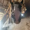 aidanpike2022 - @aidanpike2022 - TikTok