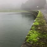 Aidan Pollard - @aidan_pollard2 - Instagram