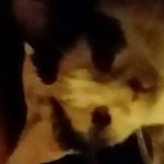 aidan pope - @aidan.pope - Instagram