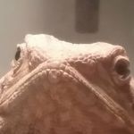 aidan posey - @aidan__posey - Instagram