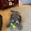 Aidan Powers - @aidan.powers2 - TikTok