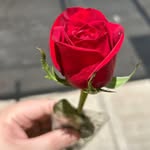 Aidan Ramos - @angulo.nadia - Instagram