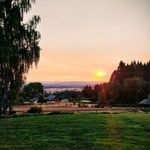 Aidan Randall - @a_rand_1 - Instagram