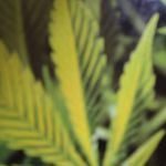aidan randall - @randall_aidan - Instagram