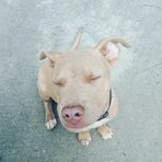 Aidan Ray - Facebook