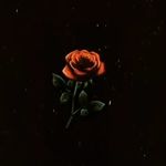 Aidan Read - @read.aidan - Instagram