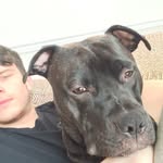 Aidan Reece - @aidanreece_ - Instagram
