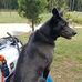 Aidan Reid - Facebook