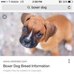 Aidan Reid-Kochanowicz - @aidan_koch_0827 - Instagram
