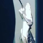 Aidan rice - @aidanrice66 - Instagram