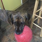 Aidan Rice - @aidanofthecrow - Instagram