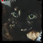 Aidan Rivas - @aidanrivasdmz - Instagram