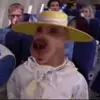 aidanroach488 - @aidanroach488 - TikTok