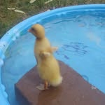 Aidan Robbins - @robbins_aidan - Instagram