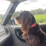 Aiden Roberson - Facebook