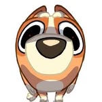 Aidan Rojas - @gatotapioca30 - Instagram