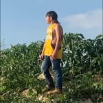 Aidan Rollins - @aidanrollins10 - Instagram