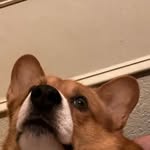 AidanRoman - @atxaidan - Instagram