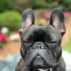 Aiden Roman - @aiden.roman7 - TikTok