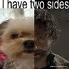 aidanross89 - @aidanross387 - TikTok