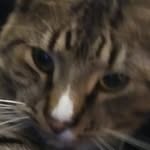 Rowan - @rowanisbetterthanaidan - Instagram