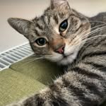 aidan - @_aidan_rutter - Instagram