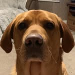 Aidan Rutter - @4id4n_rutt3r_ - Instagram