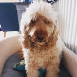 Aidan Rutter - @rutteraidan - Instagram
