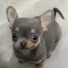 Aidan Sanchez - @aidan.sanchez8 - TikTok
