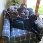 AIDAN SAUNDERS - @aidan_saunders_2048 - Instagram